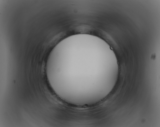 X0000093570073200710151025