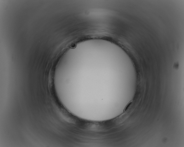 X0000093570074200710151025