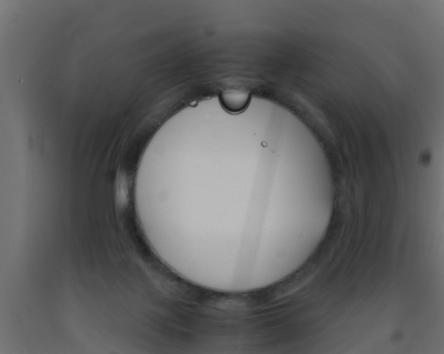 X0000093570075200710151025
