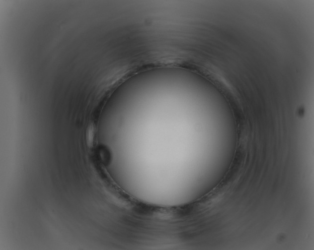 X0000093570076200710151025