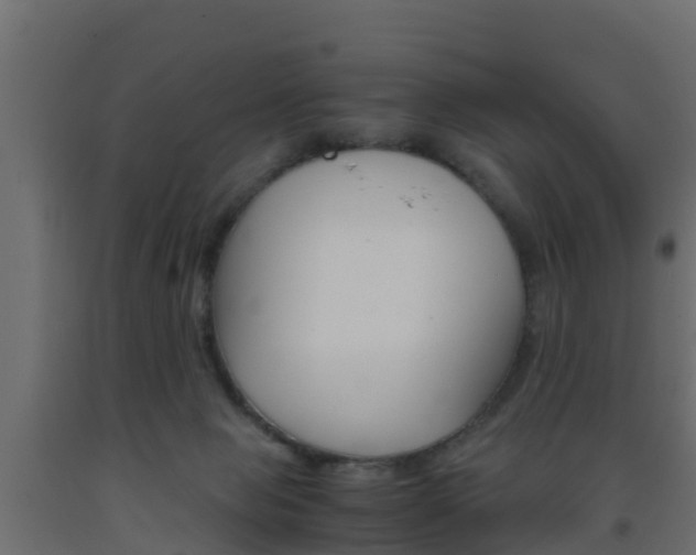 X0000093570077200710151025