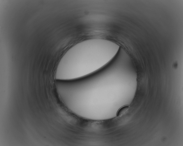 X0000093570078200710151025