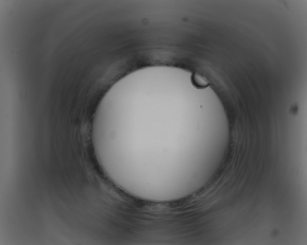 X0000093570079200710151025