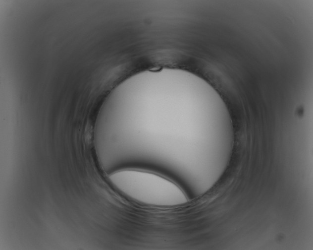 X0000093570081200710151025