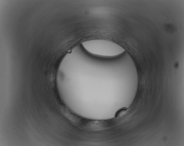 X0000093570082200710151025