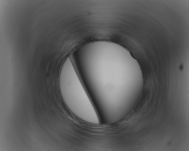 X0000093570084200710151025