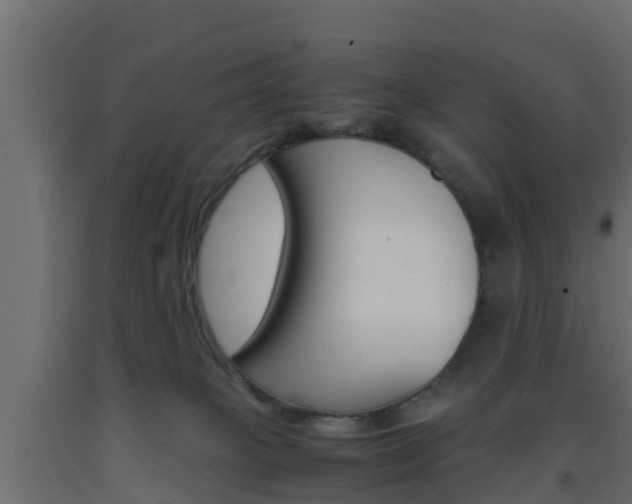 X0000093570085200710151025