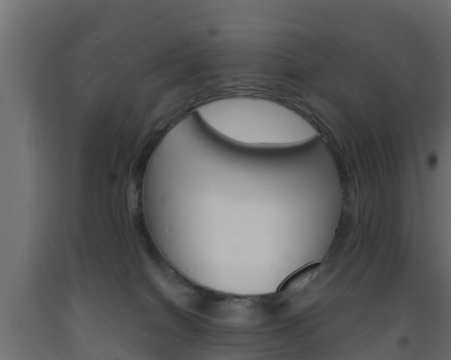 X0000093570086200710151025