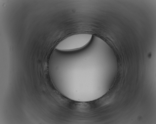 X0000093570087200710151025