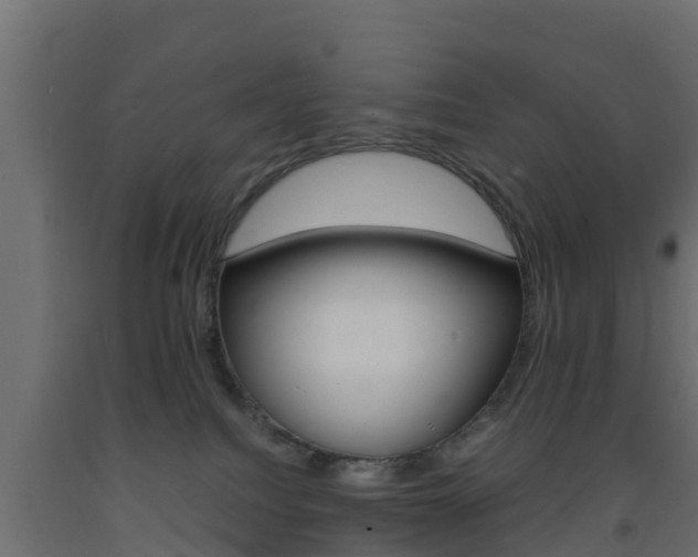 X0000093570088200710151025