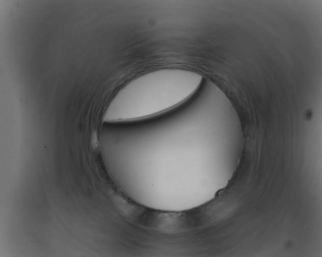 X0000093570089200710151025