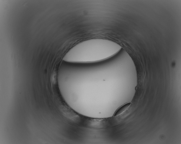 X0000093570090200710151025
