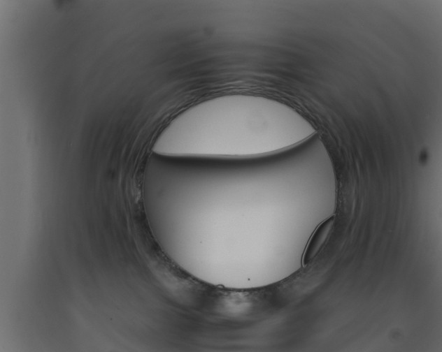 X0000093570091200710151025