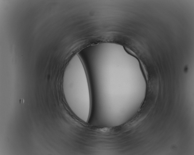 X0000093570092200710151025
