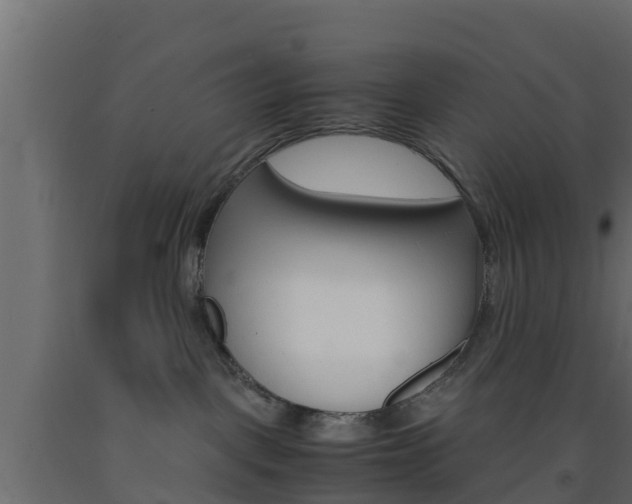 X0000093570093200710151025