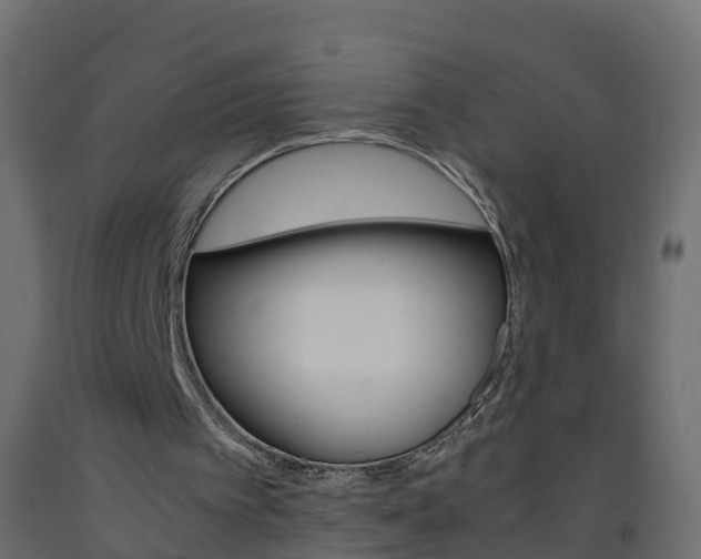 X0000093570097200710151024