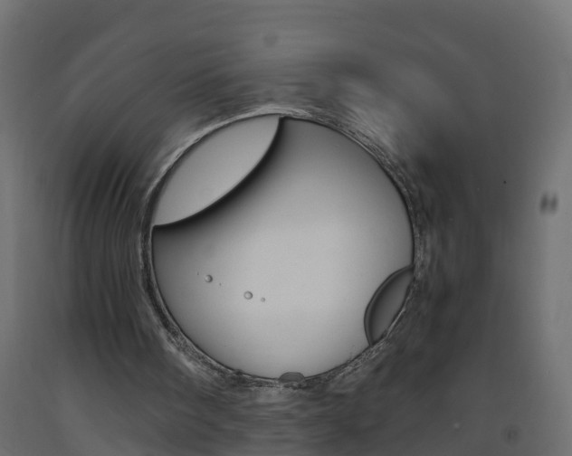 X0000093570098200710151024