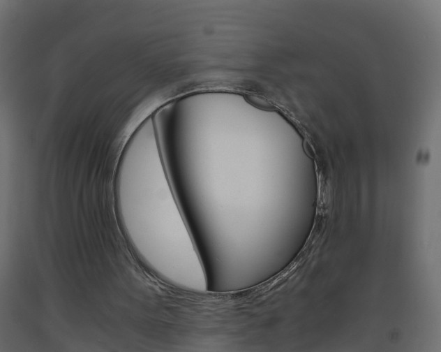 X0000093570099200710151024