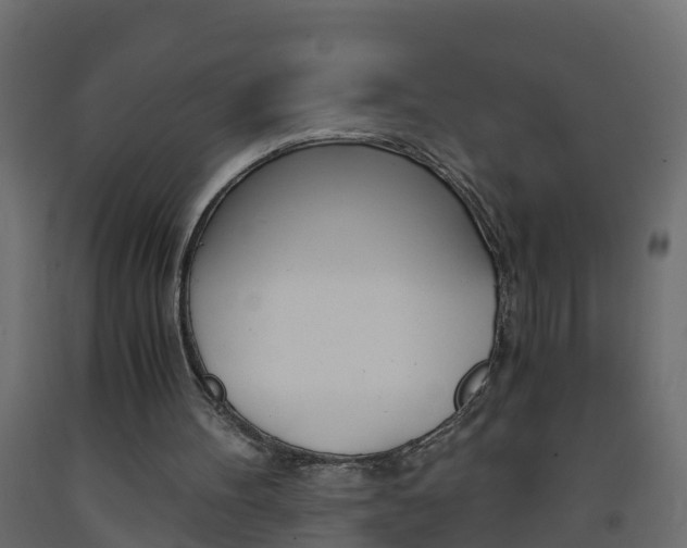 X0000093570100200710151024