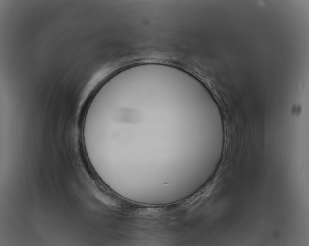 X0000093570102200710151024