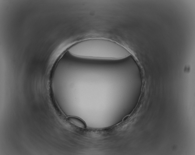 X0000093570103200710151024