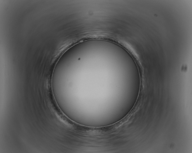 X0000093570105200710151024