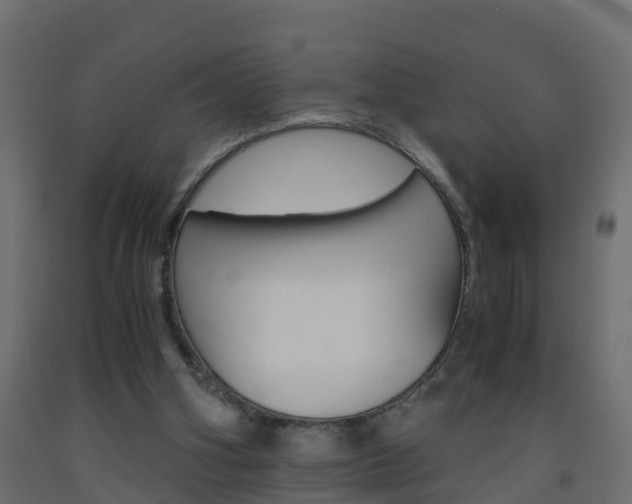 X0000093570106200710151024