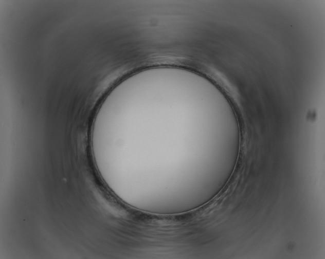 X0000093570107200710151024