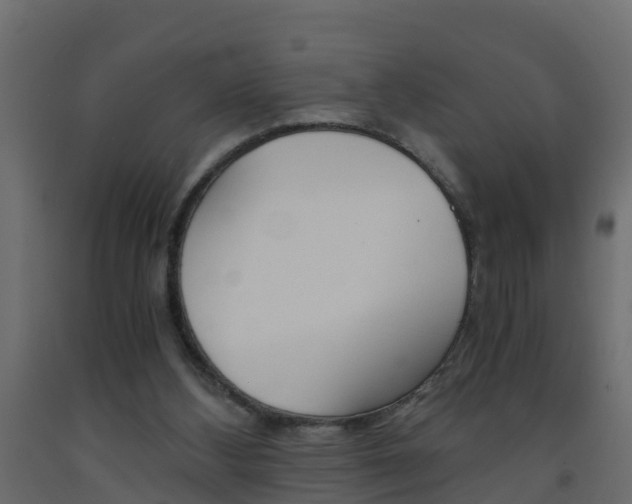 X0000093570108200710151024