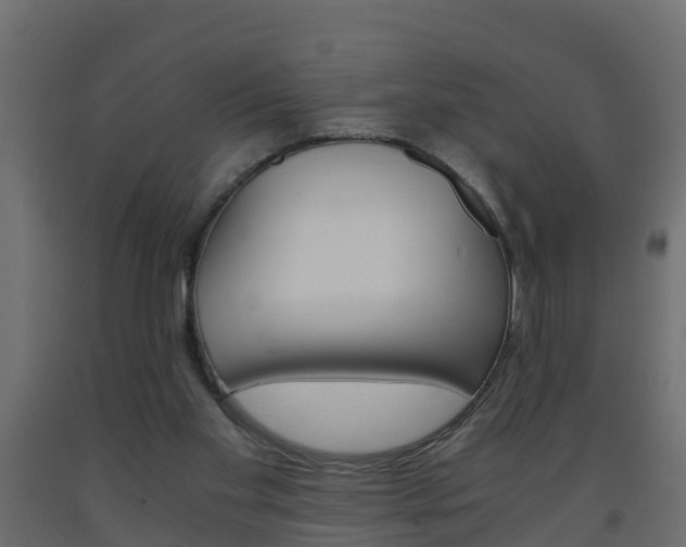 X0000093570109200710151024