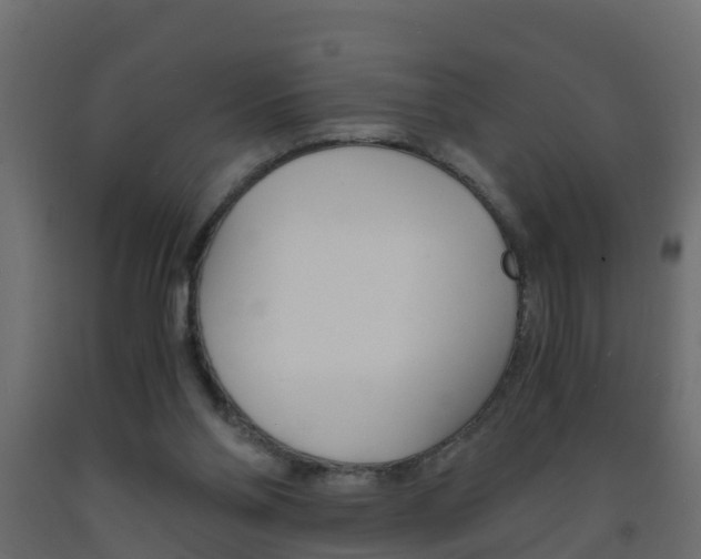 X0000093570110200710151024