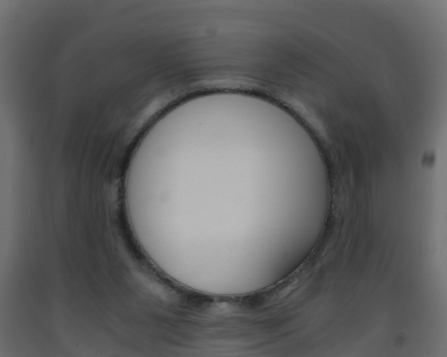 X0000093570111200710151024