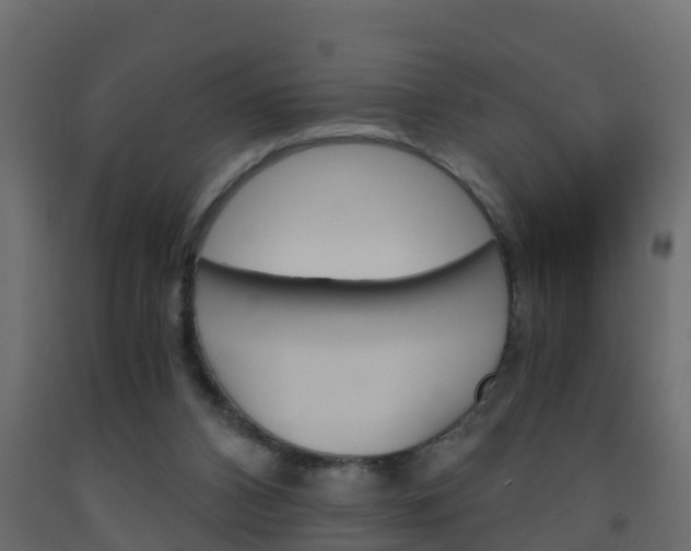 X0000093570112200710151024