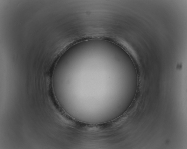 X0000093570113200710151024