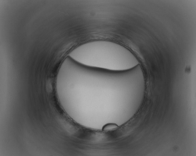 X0000093570114200710151024