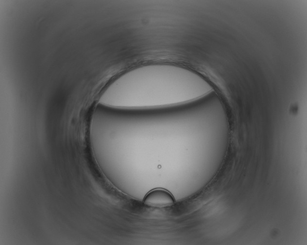 X0000093570115200710151024