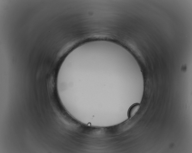 X0000093570116200710151024