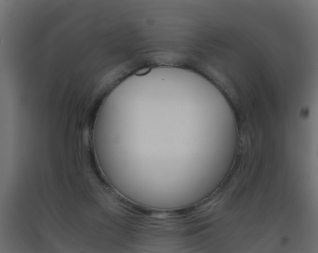 X0000093570117200710151024