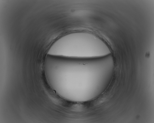 X0000093570119200710151024