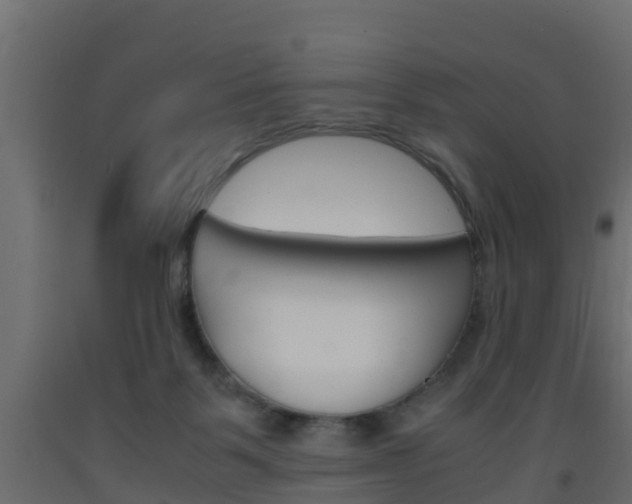 X0000093570123200710151024