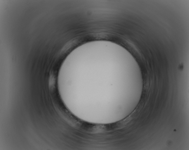 X0000093570124200710151024