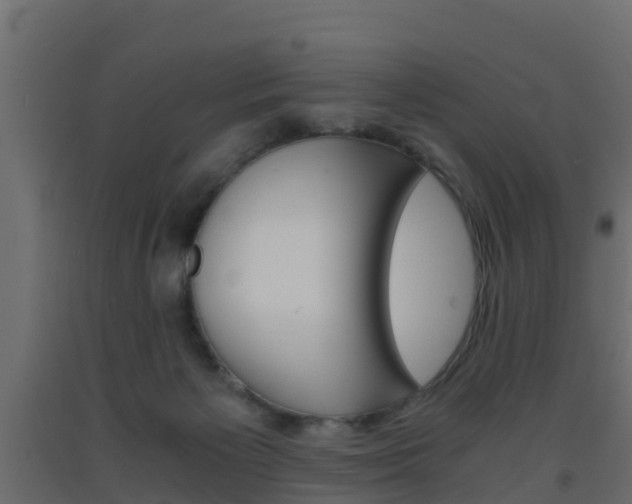 X0000093570125200710151024