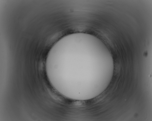 X0000093570126200710151024