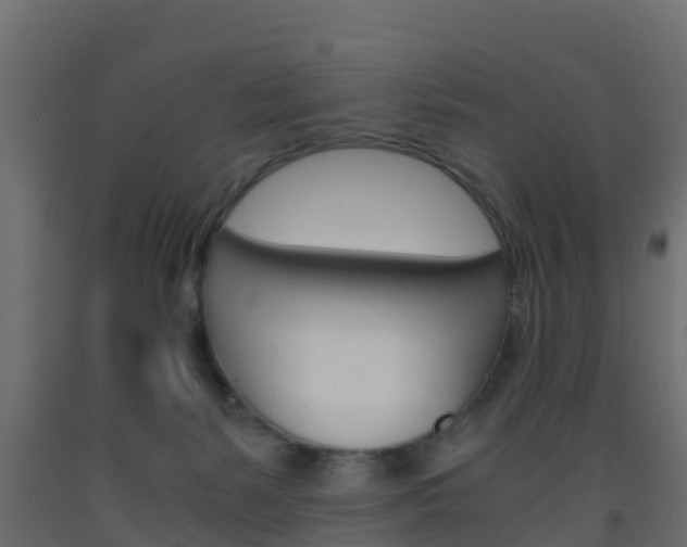 X0000093570127200710151024
