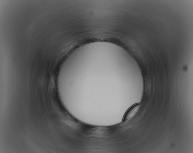 X0000093570128200710151024