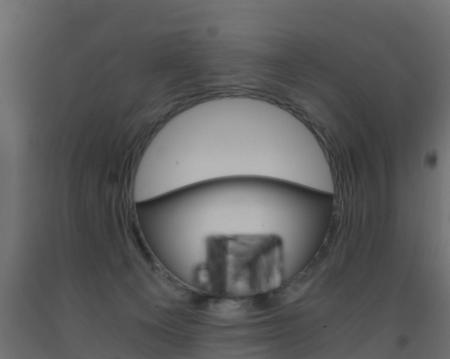 X0000093570129200710151024