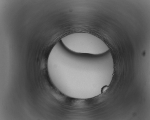 X0000093570132200710151024