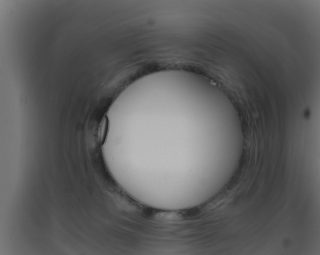 X0000093570133200710151024