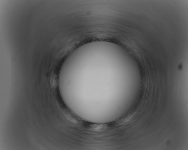 X0000093570135200710151024