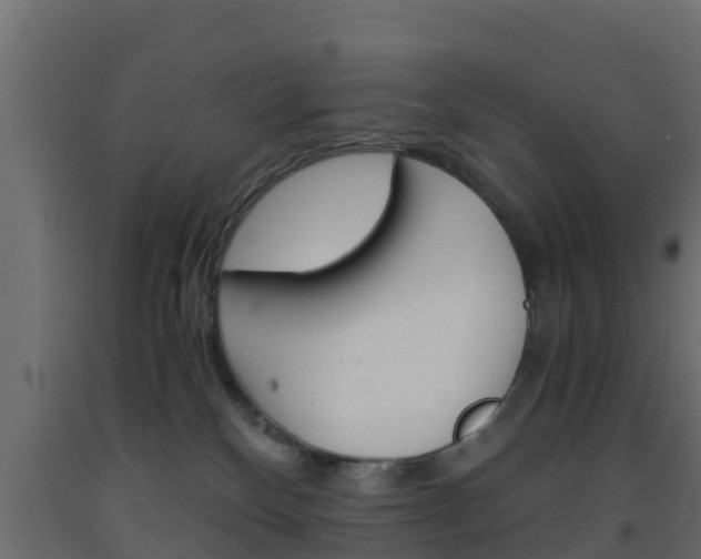 X0000093570136200710151024